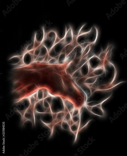 Drawing horse and fractal effect.