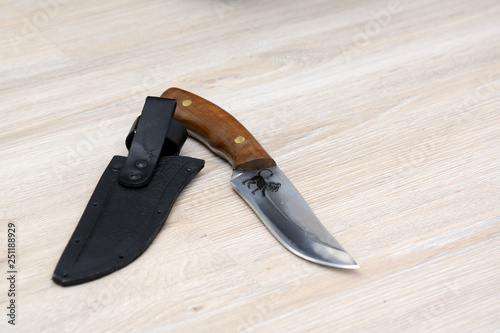 on a light background are a hunting knife and black leather sheath