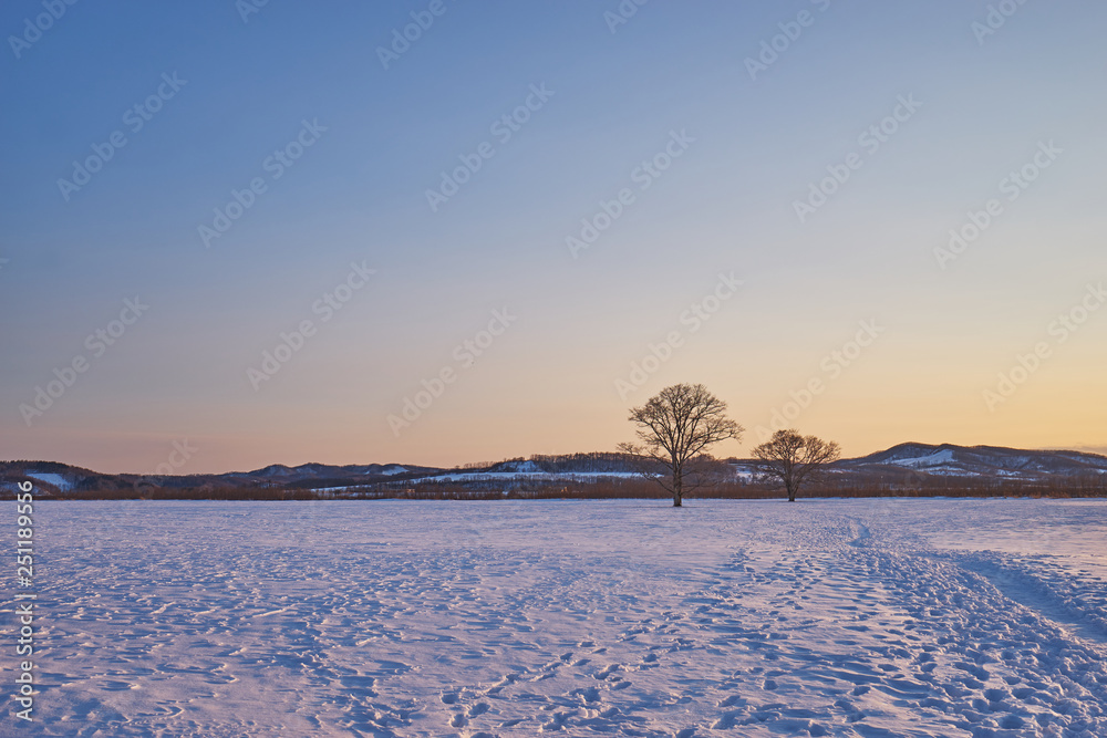 Obraz premium Beautiful Sunset scenic of Toyokoro city near Tokachi river in winter at southeast of Obihiro city, Hokkaido, Japan.