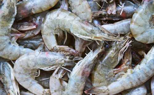 Fresh white shrimps group in market.