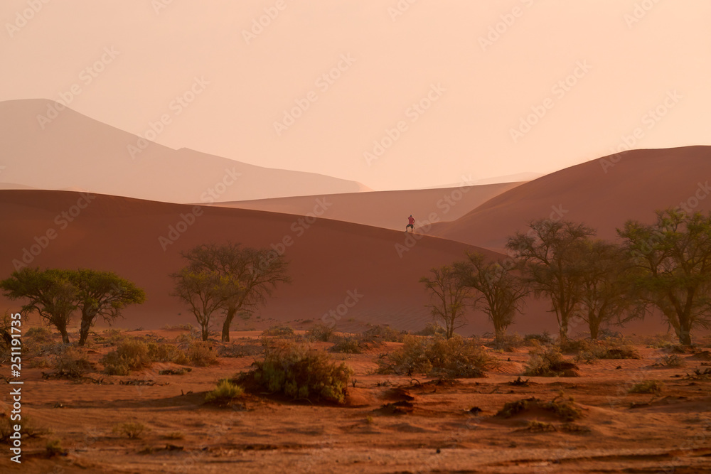 Namib desert scenery. A photographer on the ridge of red sand dunes, near famous Deadvlei. Typical desert environment,  photography in Namib Naukluft National Park, Namibia.
