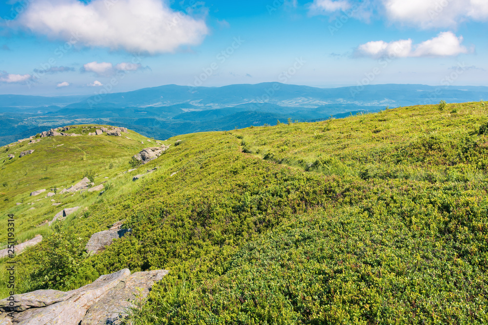 wonderful sunny scenery in mountains. grassy alpine meadow with some rock formations. distant ridge beneath a blue sky with fluffy clouds. beautiful carpathian landscape