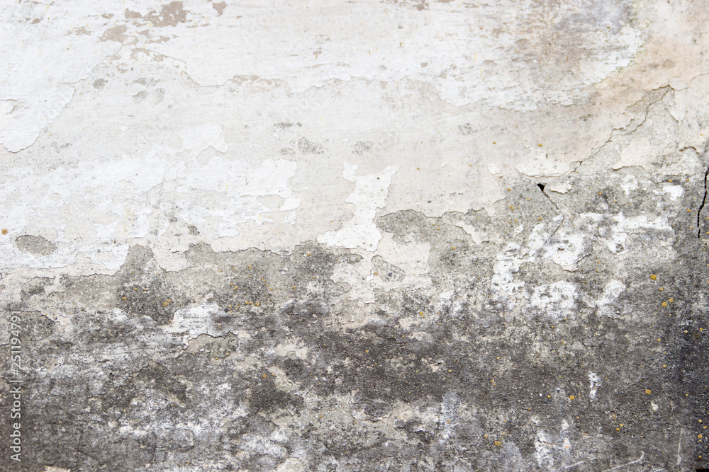 Old concrete wall with a layer of whitewash, mold texture decay