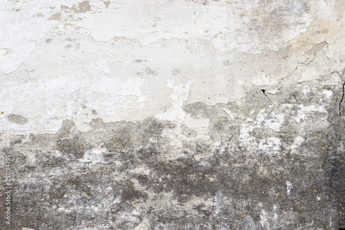 Old concrete wall with a layer of whitewash, mold texture decay