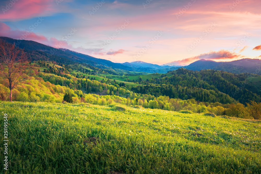 mountainous springtime countryside at sunset. wonderful landscape with grassy meadow and forested hills. sky with red clouds