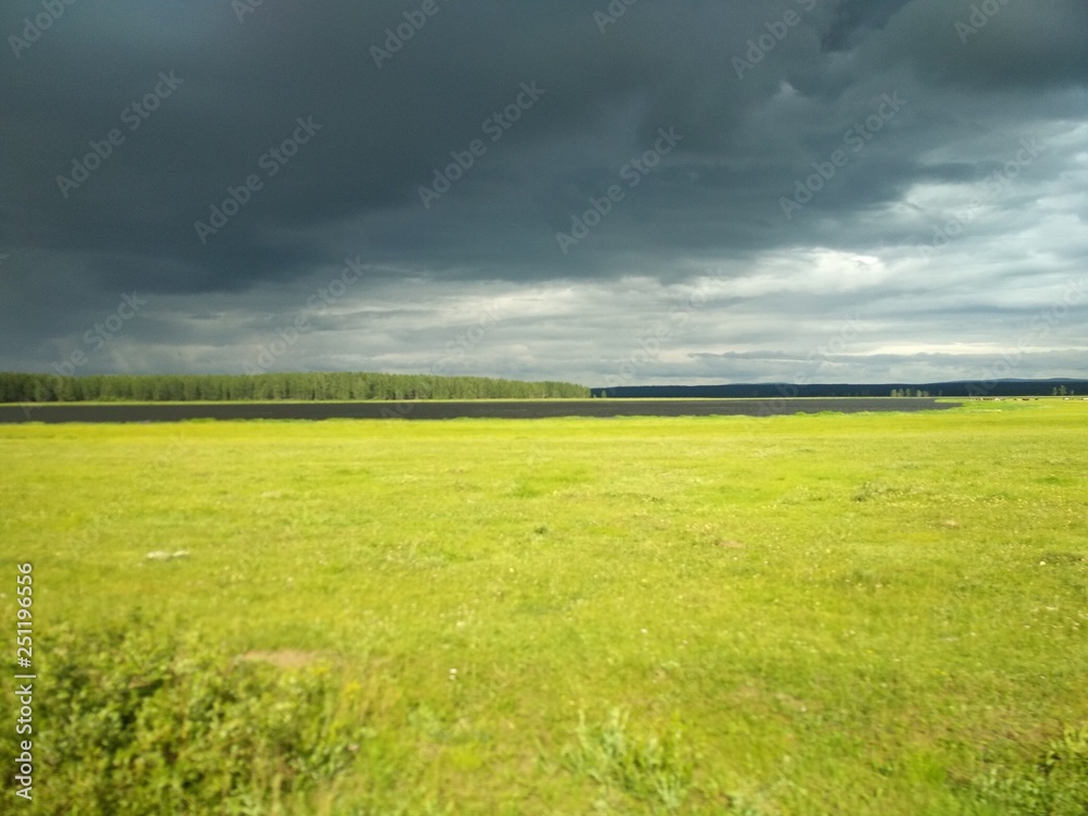 green field and blue sky