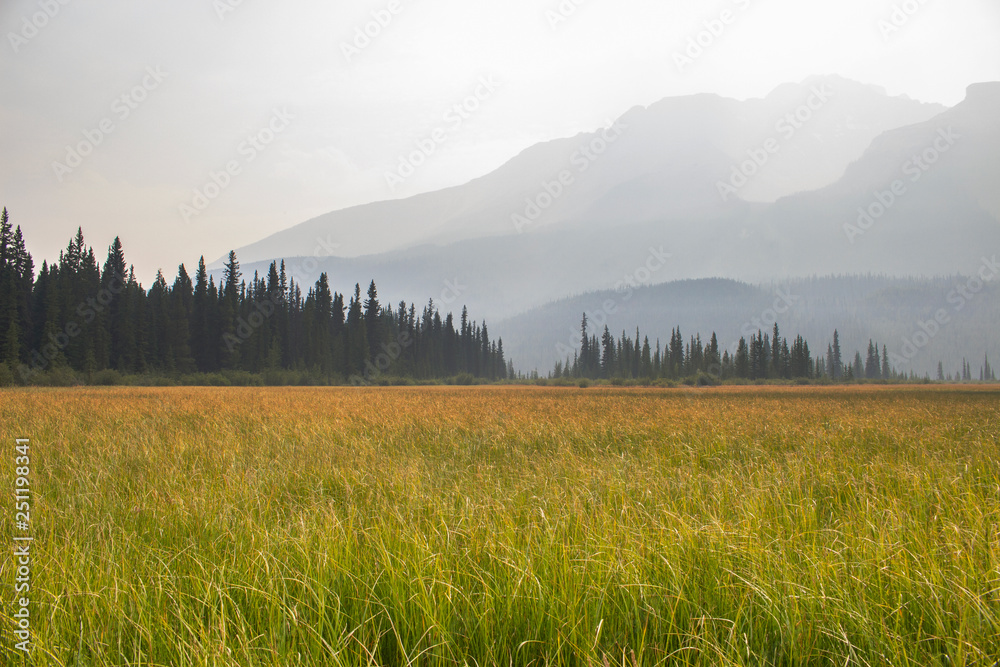 Field in Alberta, with the Rocky Mountains Obscured by Smoke