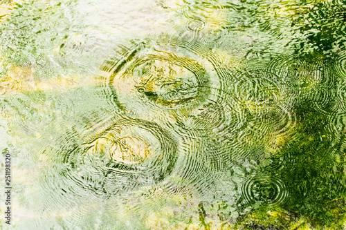 Circles on the surface of the reservoir as a background