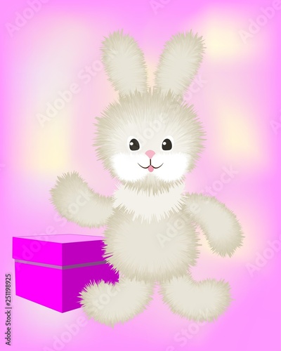 plush Bunny with gift box