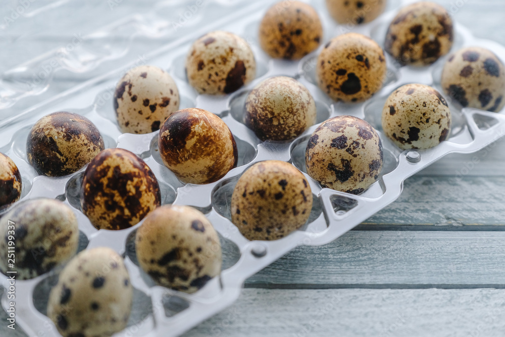 Fototapeta premium quail egg in plastic packaging big plan