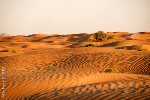 Huge dunes of the desert. Beautiful structures of yellow sand dunes. United Arab Emirates. Asia.