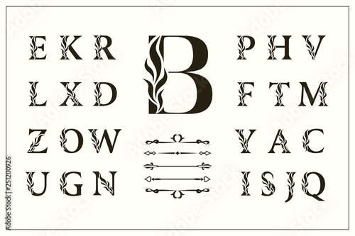 Set of Stylish Capital Letters. Logos Collection. Creative Monograms with Decorative Elements. Beautiful English Alphabet. Simple Emblems. Graceful Design of Calligraphic Insignia. Vector illustration