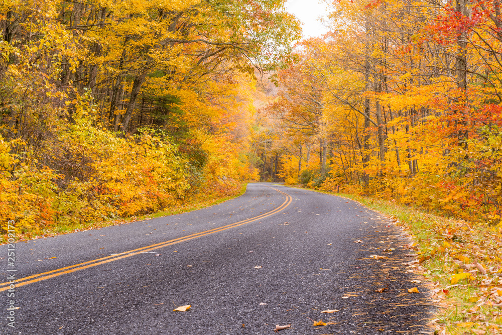 Autum along the Blue Ridge Parkway