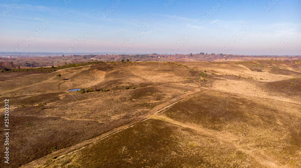 Aerial view of the New Forest National Park with heathland and forest trails under a majestic blue sky