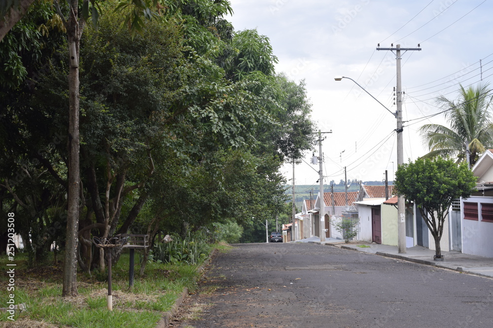 Rua de asfalto, vegetação e habitação.