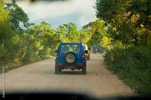 SUV driving at country road in tropical © lookproduction