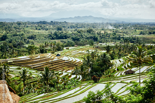 Rice terraces Jatiluwih, protected by UNESCO. Indonesia, Bali Island.