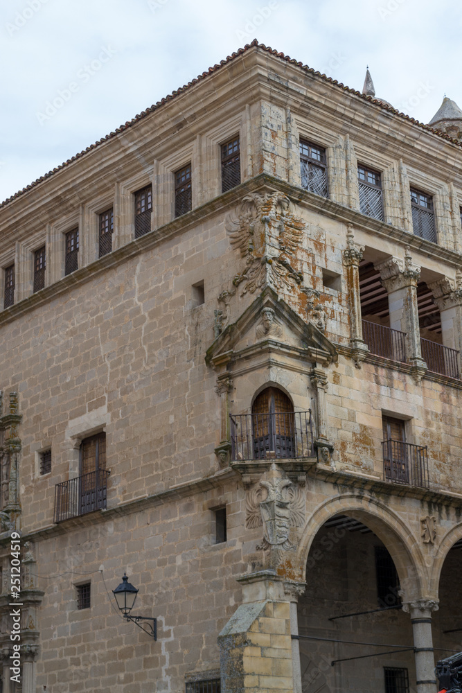 The Palace of San Carlos
