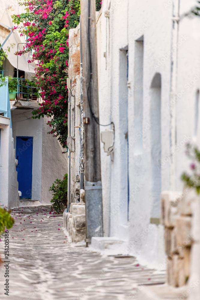 Fototapeta The typical cyclades style with colorful flowers in Parikia town on Paros island, Greece