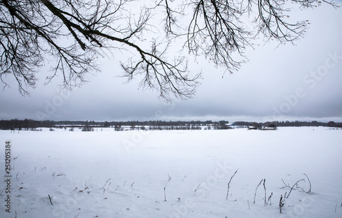 landscape of winter estonia