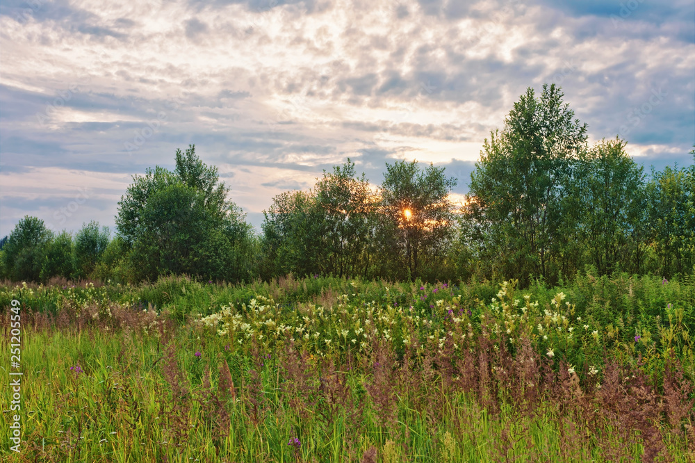 Sunset in summer field Sunset in summer field