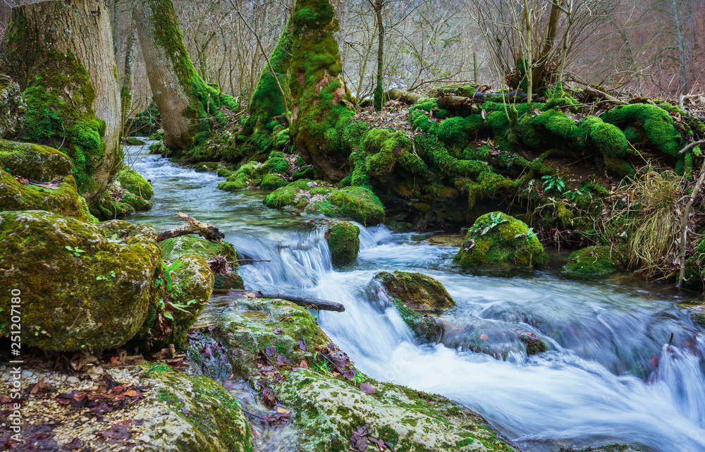 Obraz premium Flusslauf mit Moos 