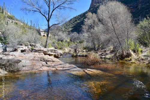 Sabino Canyon Recreation Area Tucson Arizona Water Desert Cactus photo