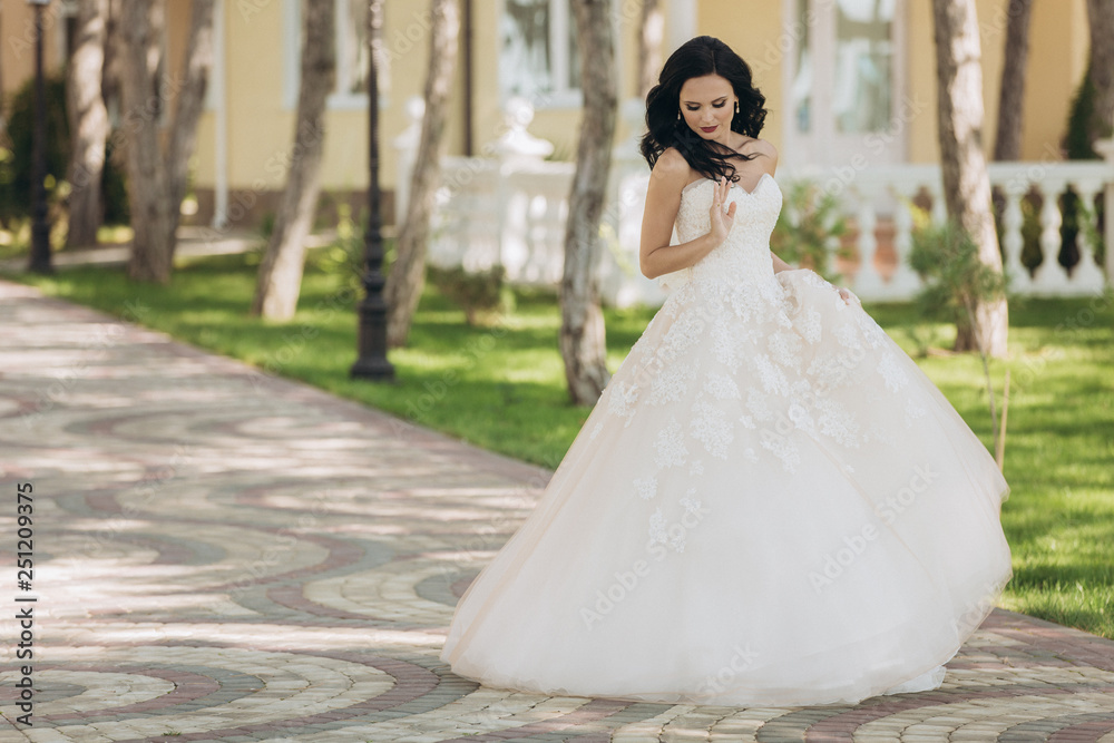 Beautiful bride in a white wedding dress on outdoors. Beautiful bride in a white wedding dress on outdoors.