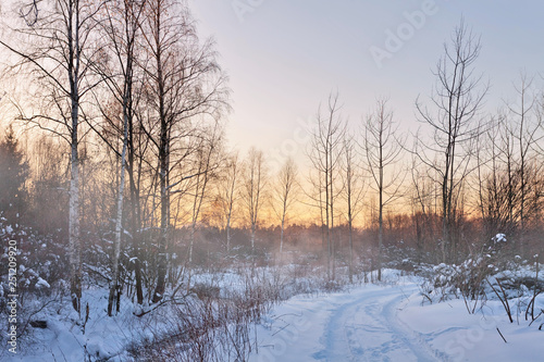 Sunset in winter forest © Kushch Dmitry