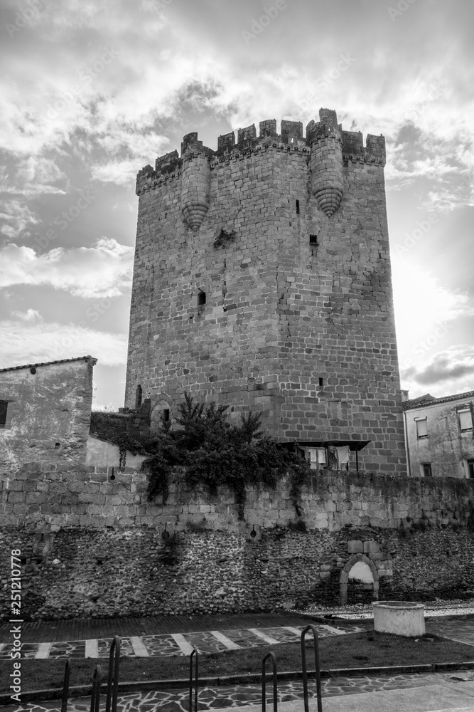 The castle of Coria (Spain)
