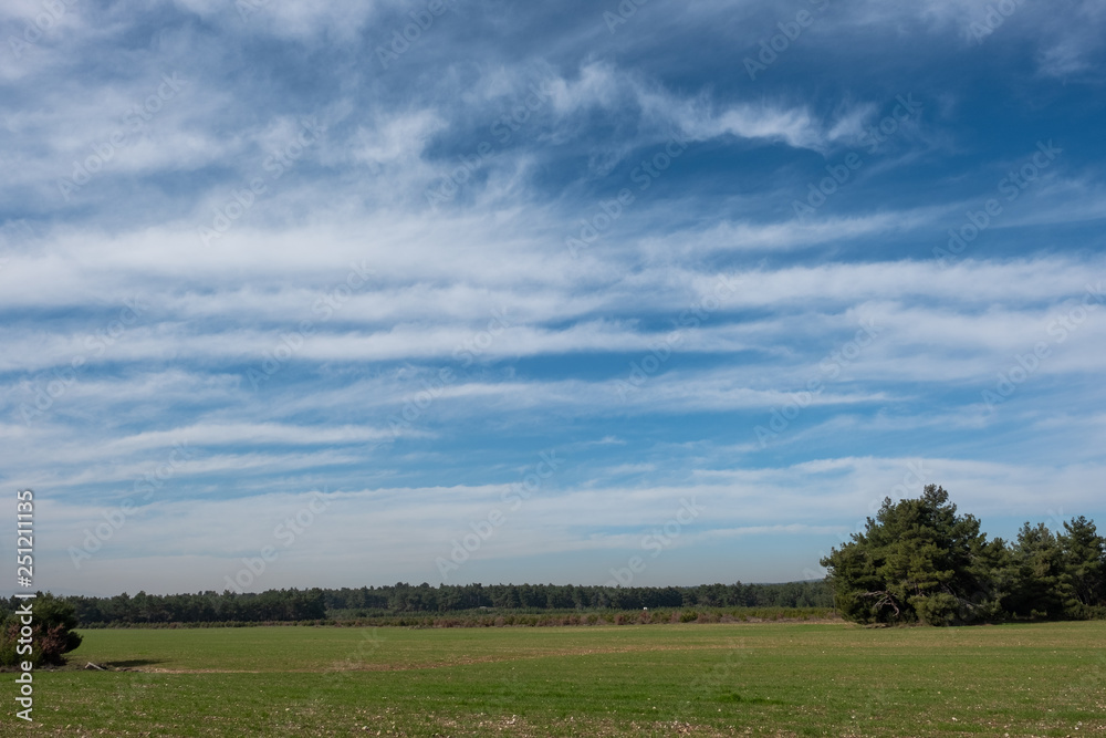 Dramatic Cloudy Sky Above Trees and Fields