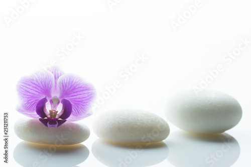 Three white rondstones and a purple orchid blossom on one of them isolated on white background