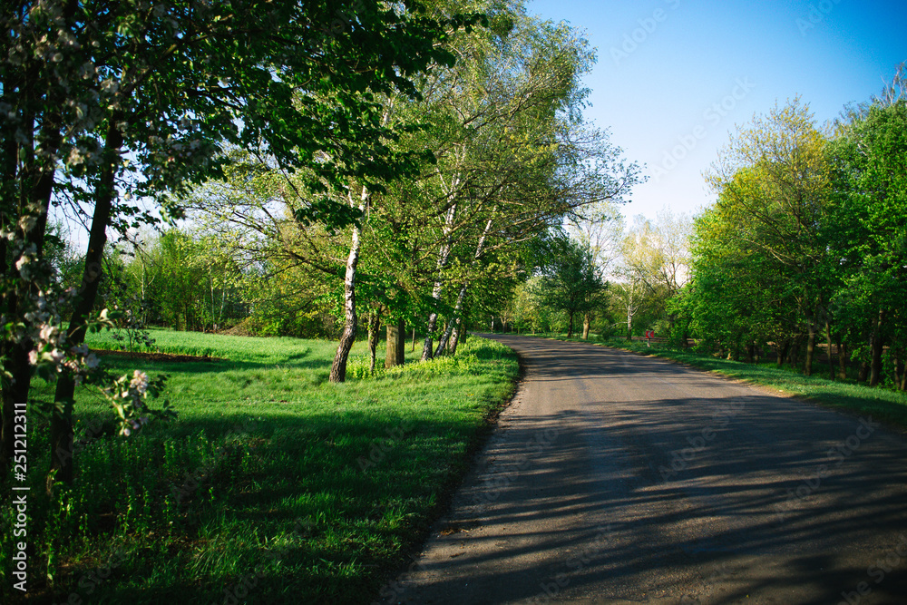 Summer sunny evening outside the city. The concept of travel