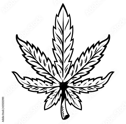 leaf of marijuana 