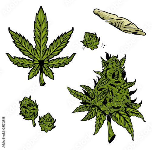 cannabis marijuana set 