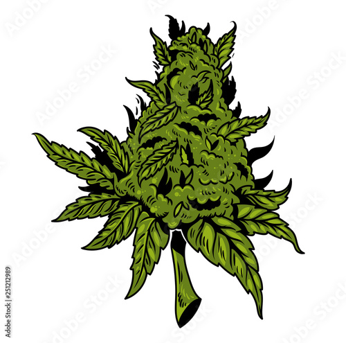 cannabis drawing design 