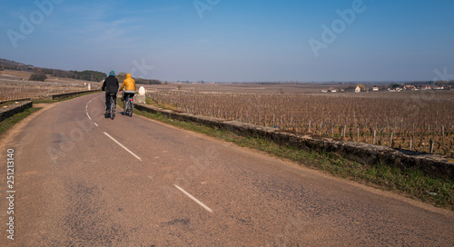 vélo dans les vignes photo