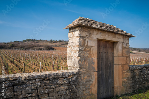 clos de Bourgogne photo