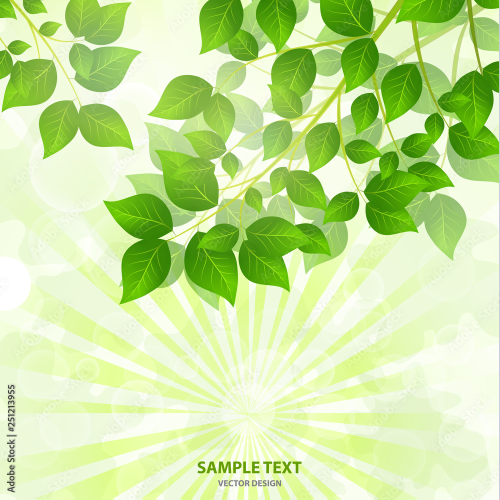 Forest background with sunlight coming through the green leaves. Green background with fresh spring foliage, sparkles and sunbeams. Young leaves in the rays of spring dawn. Close-up. - Vector graphics Forest background with sunlight coming through the green leaves. Green background with fresh spring foliage, sparkles and sunbeams. Young leaves in the rays of spring dawn. Close-up. - Vector graphics