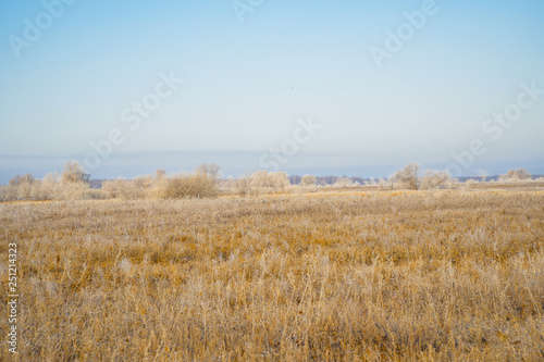 Frozen dry grass in hoarfrost in a large meadow field