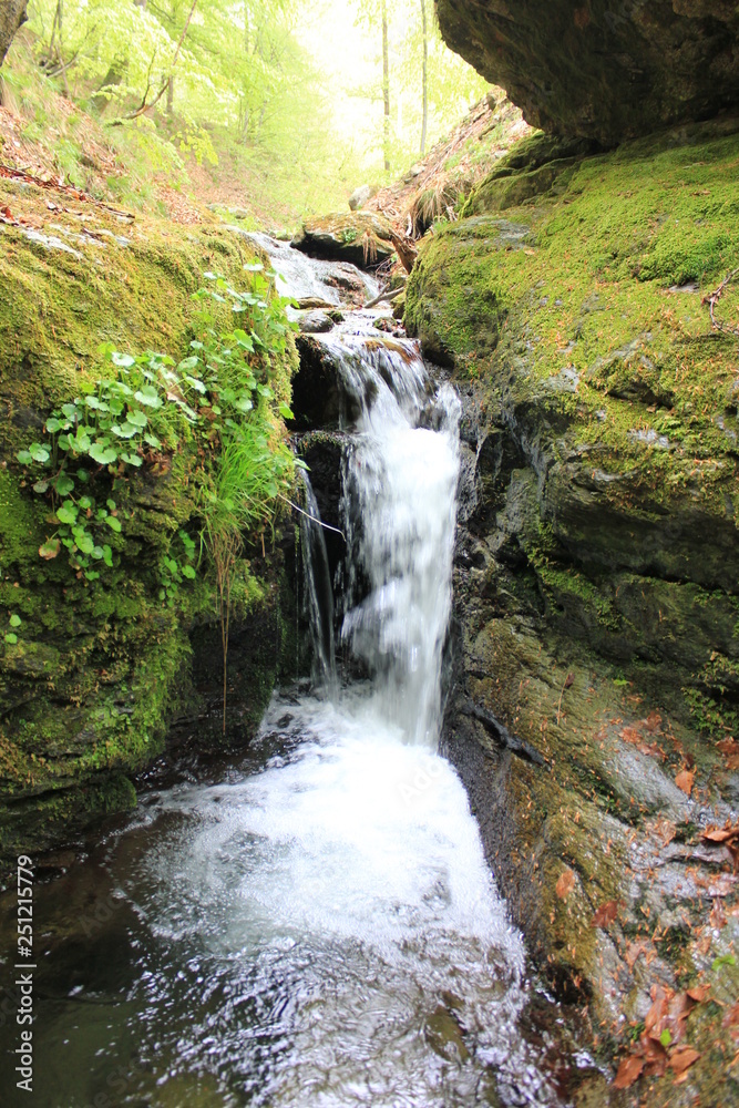 Naklejka premium waterfall in forest