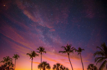 Keuken achterwand Strand zonsondergang Tropische avondgloed boven palmenstrand  © Gregory