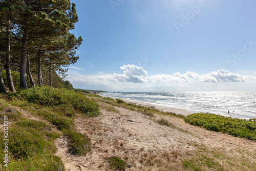 view of beach