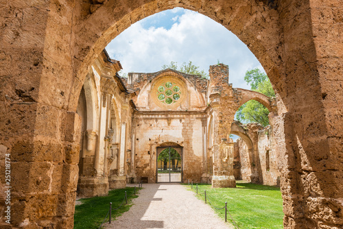 Картината върху платно Ruins of the church of the Monastery of Piedra