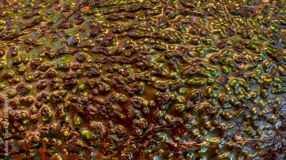 avocado health superfood background detailed texture avocado health superfood background detailed texture
