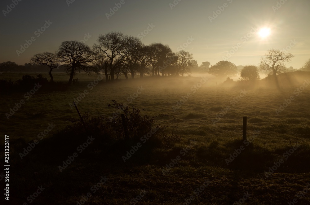 Winter sunrise, Jersey, U.K. Foggy rural landscape.