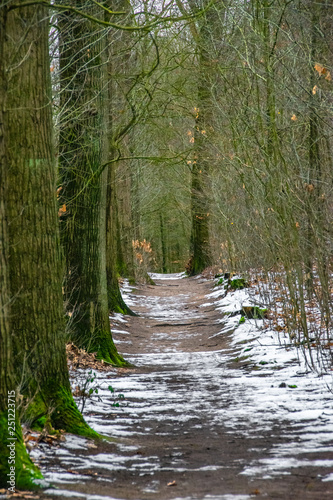 Wald