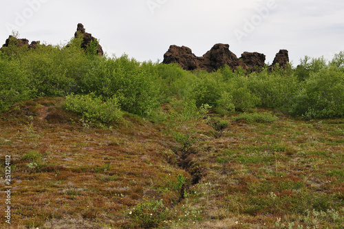 Island; Iceland; Erdkruste; Tektonik; tektonische Platten photo