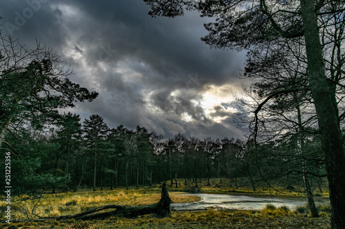 Wald