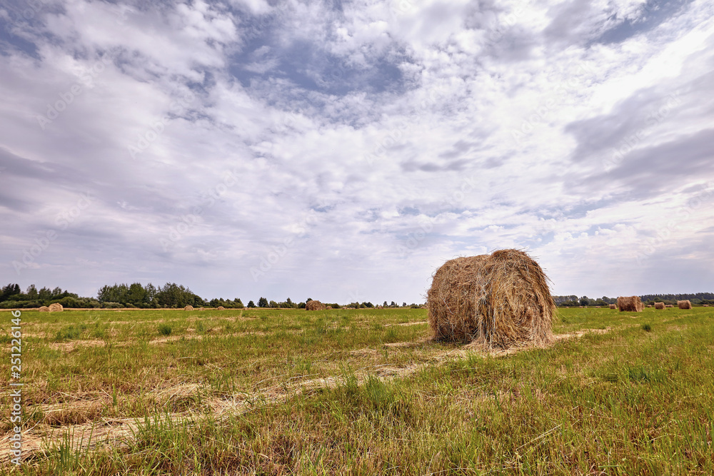 Haystack harvest agriculture field landscape. Agriculture field haystack view.